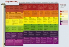 Gay history