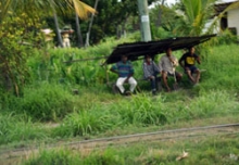 Fijian workers at bus stop
