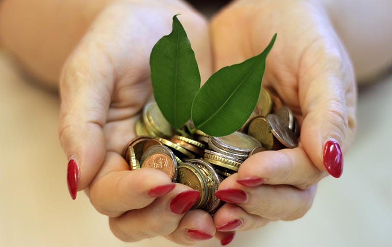 Hands holding coins and two leaves